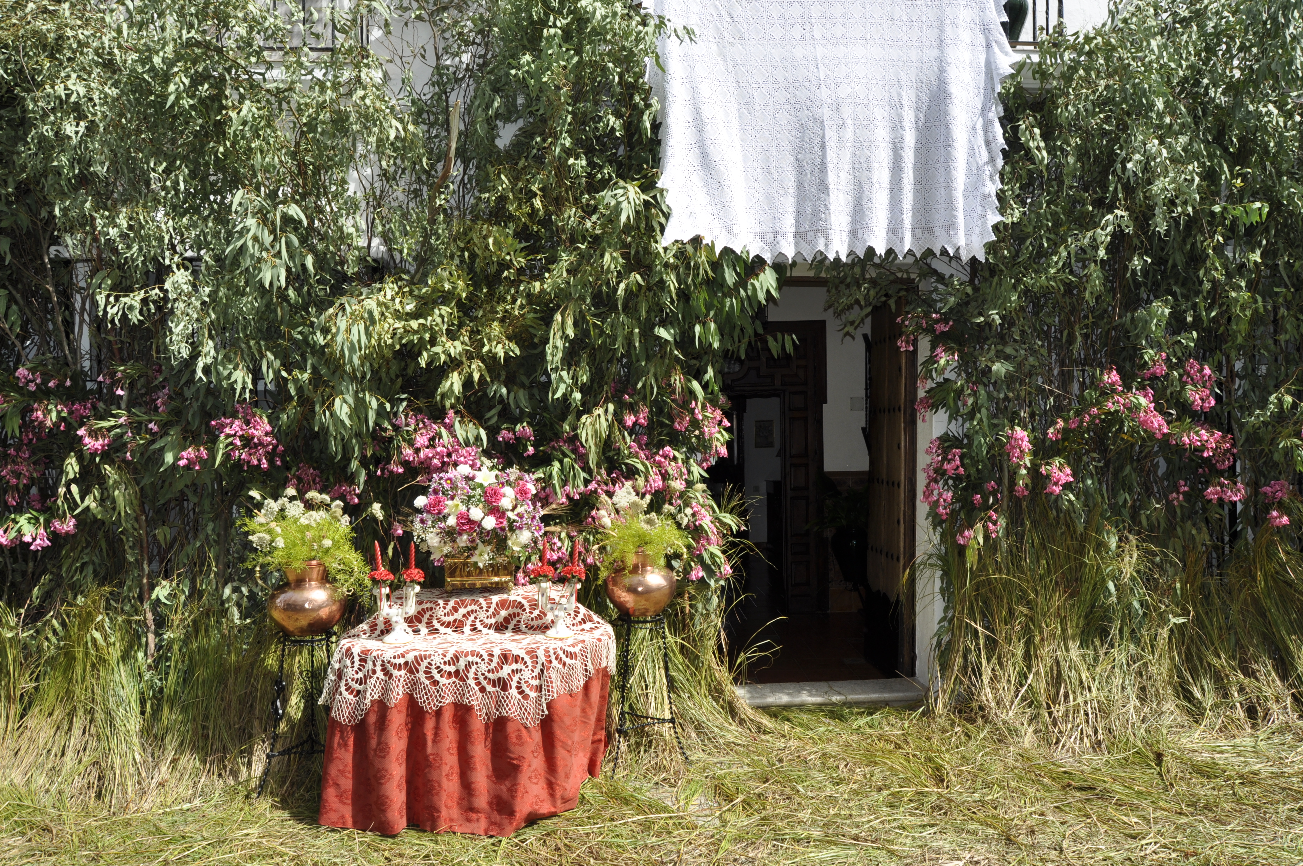 Acceso a la Galer&iacute;a de Imagen del Corpus Christi de 2011