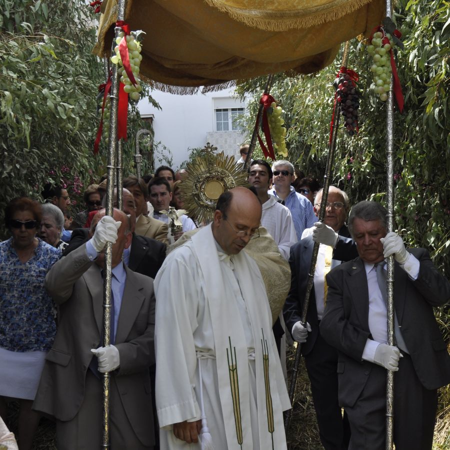 Fotograf&iacute;a donde se ve como procesiona el Sant&iacute;simo por las calles de la villa, por sus verdes calles, decoradas por los ciudadanos de la villa.